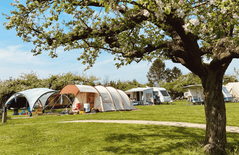 1 buitengoed de boomgaard kamperen 43