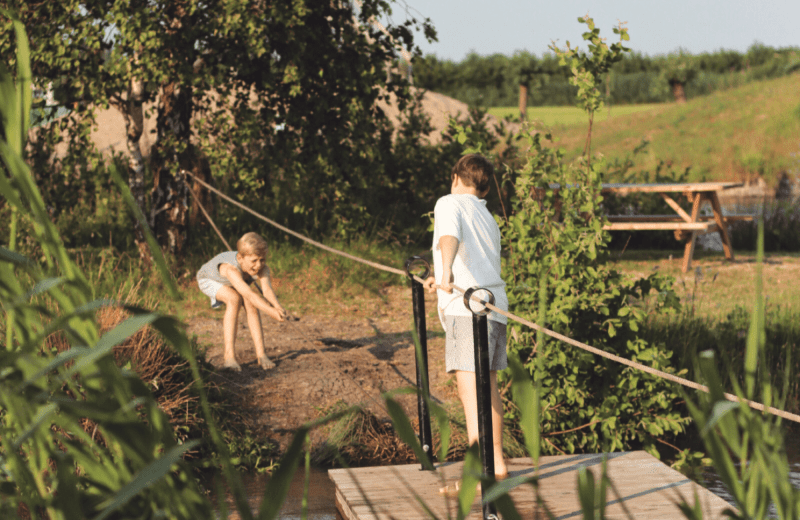 Free Play Party - tasty pure nature