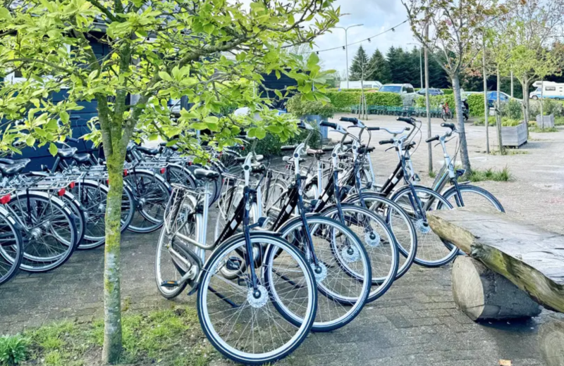 Bike rental