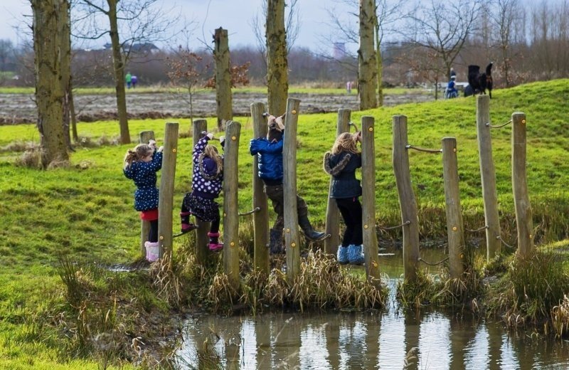 Play Forest New Wulven