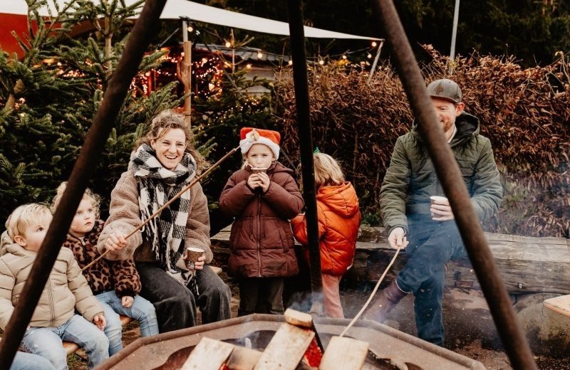 Country Estate Christmas Trees